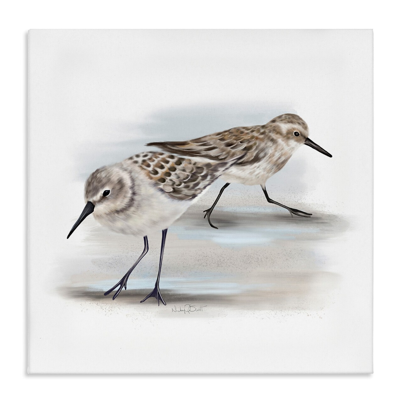 Stupell Industries Sandpiper Pair on Sandy Beach Canvas Wall Art
